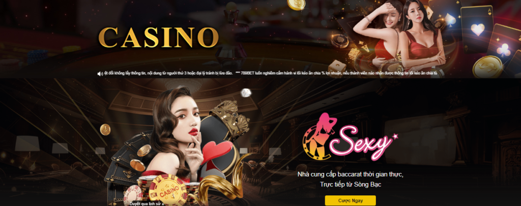 Tổng quan về chip casino trực tuyến